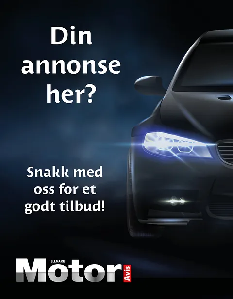 Plass for annonse